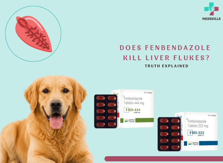 Does Fenbendazole Kill Liver Flukes
