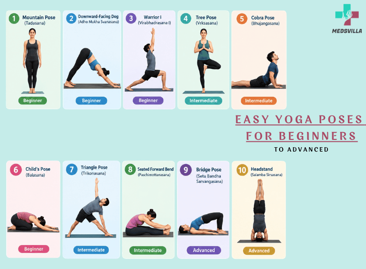 Yoga Poses For Beginners